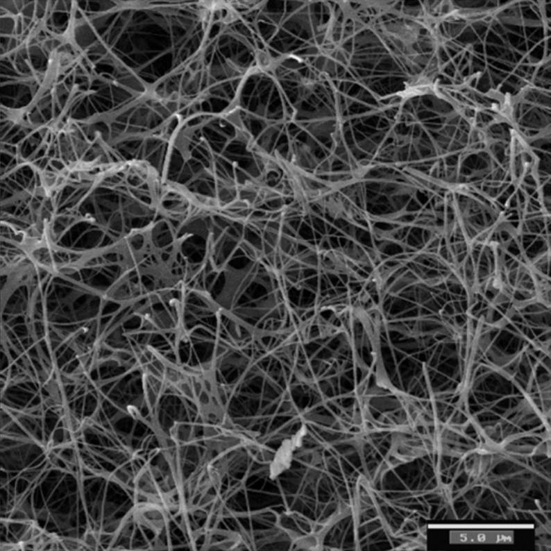 高持水性和高透气性_细菌纤维素,副本 高持水性和高透气性_细菌纤维素,副本
